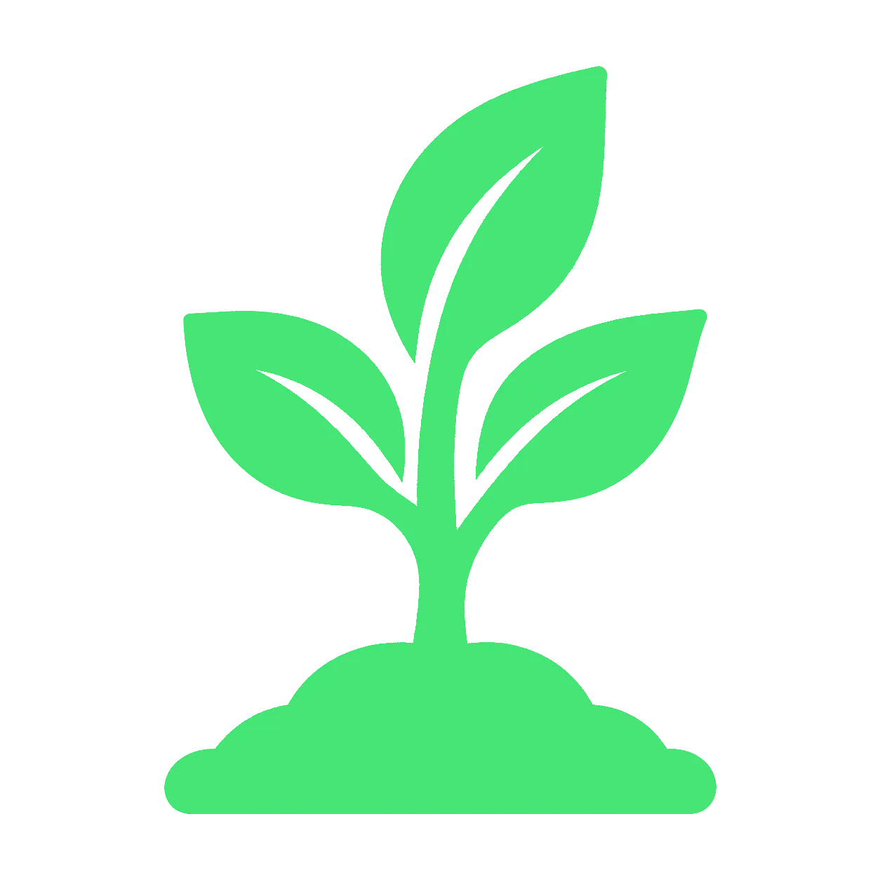 Room to Grow